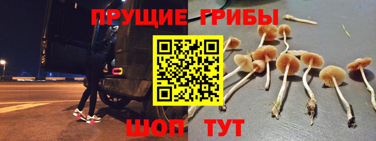 Можайск  Галлюциногенные грибы MAGIC MUSHROOMS  Псилоцибиновые грибы прущие грибы  Вход с VPN 