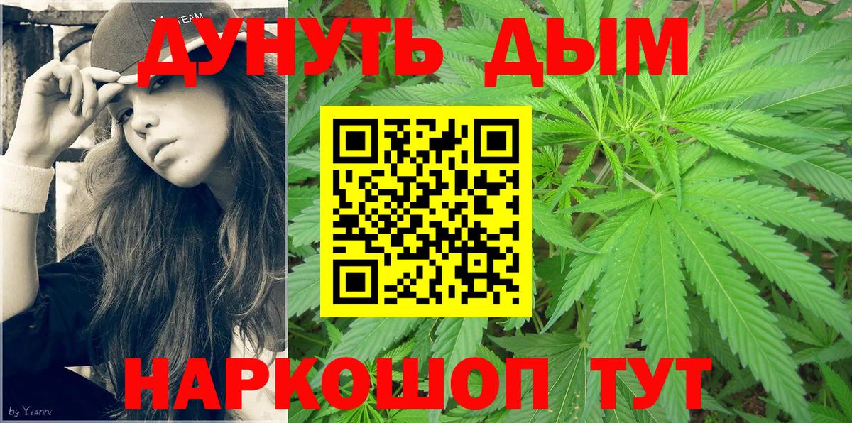 Канабис сатива Можайск